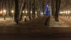 Snow winter Park Russia cities Kaluga