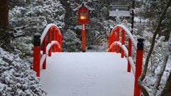 Snow winter red light Bridges Parks