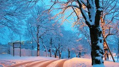 Snow winter roads snow landscapes