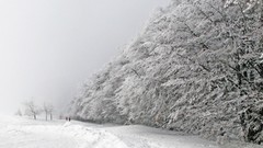 Snow winter snow landscapes