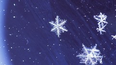 Snow winter snowball