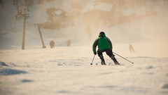 Snow winter Sports Skiing ski