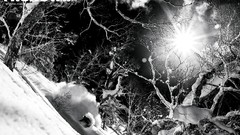 Snow winter Sports Snowboarding freestyle monochrome