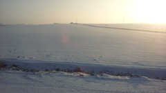 Snow winter sun trains