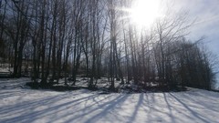 Snow winter three serbia skies the sun