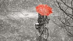 Snow winter Umbrellas