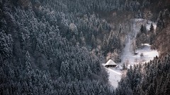 Snow winter white houses forests nordic