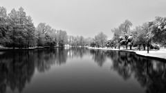 Snow winter white monochrome lakes forests serene