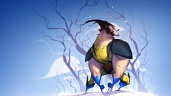 Snow winter Wonderland wolverine