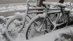 Snowboarding snow-white