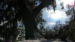 Snowdaysnowgay took This The