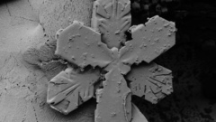 Snowflake yeah You re