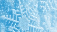 Snowflakes