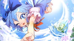 Snowflakes Animals ice wings Fairies dress Frogs flying tongue 