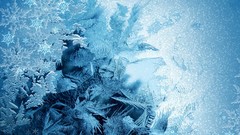 Snowflakes ice frost