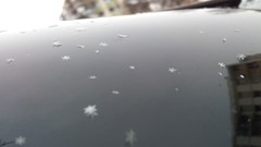 Snowflakes nature snow winter black artwork