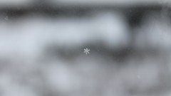 Snowflakes snow window panes