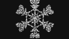 Snowflakes snow winter cold