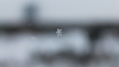 Snowflakes snow winter window panes Winter is Coming