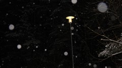 Snowflakes Trees snow winter dark sweden backgrounds wonder