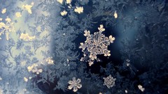 Snowflakes winter
