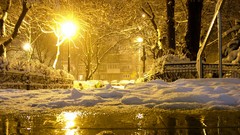 Snowflakes winter light snow landscapes