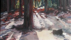 Snowy forrestsnowy forrest high