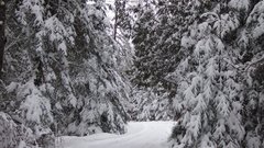 Snowy ski trail Sport