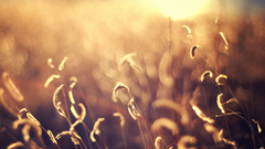 So heard were lookin