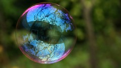 Soap reflections iridescence