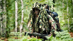 Soldiers Army military jungle