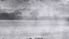 Soldiers Guns solid snake