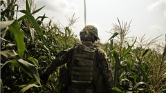 Soldiers War Warriors