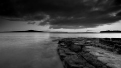 Some black and white