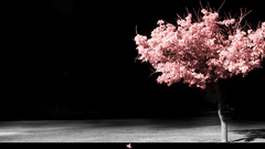 Some ing Flowers bonus