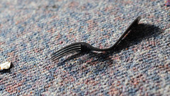 Some Reason high fork