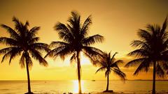 Some sunsets high nature