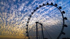 Someone romantic Roda have gigante entardecer