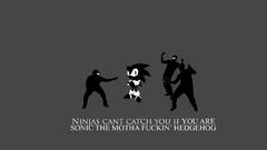 Sonic the Hedgehog ninjas