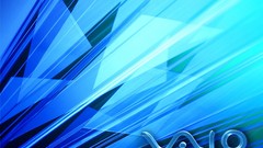 Sony sony vaio lifestyle