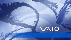 Sony sony vaio lifestyle