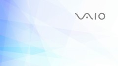 Sony vaio lifestyle