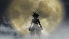 Sora (Kingdom Hearts) Kingdom