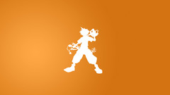 Sora orange Food and