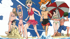 Soul eater Beaches
