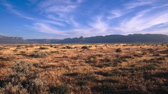 South Africa national park