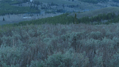 South hills idahofag high