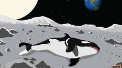 South park moon Earth