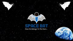 Space bat