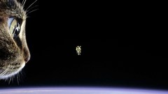 Space cat for Flipped was when using